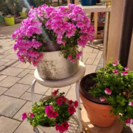 Apartment Myvodice Vodice